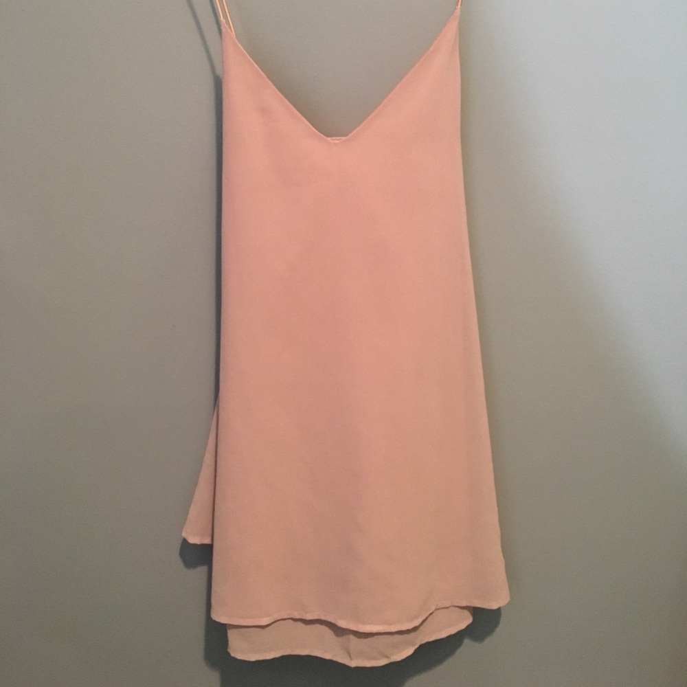 Tobi Blush Pink Slip Dress (Never Worn)